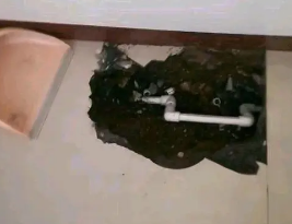 察隅卫生间测漏水多少钱